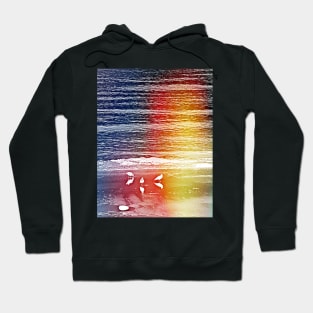 beach birds Hoodie